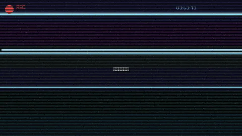 周末随拍记录 - 老树逢春 大梦未醒 原创视频